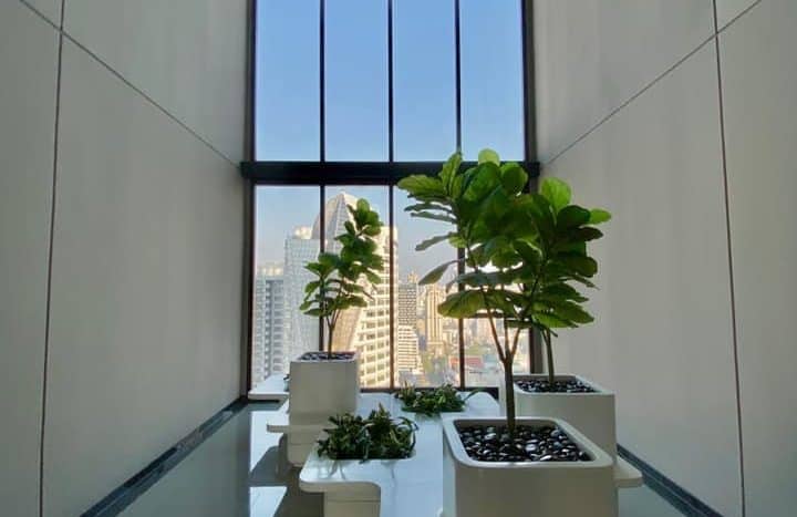 Supalai Park Asoke – Ratchada