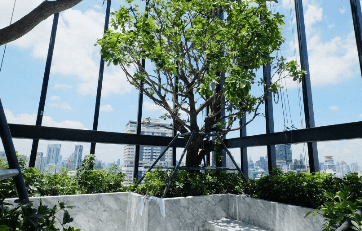 Supalai Park Asoke – Ratchada