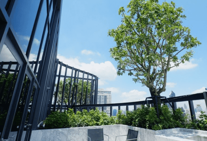 Supalai Park Asoke – Ratchada