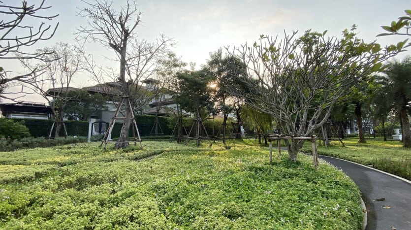 Supalai Park Asoke – Ratchada