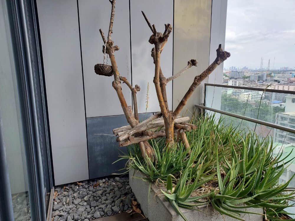Supalai Park Asoke – Ratchada